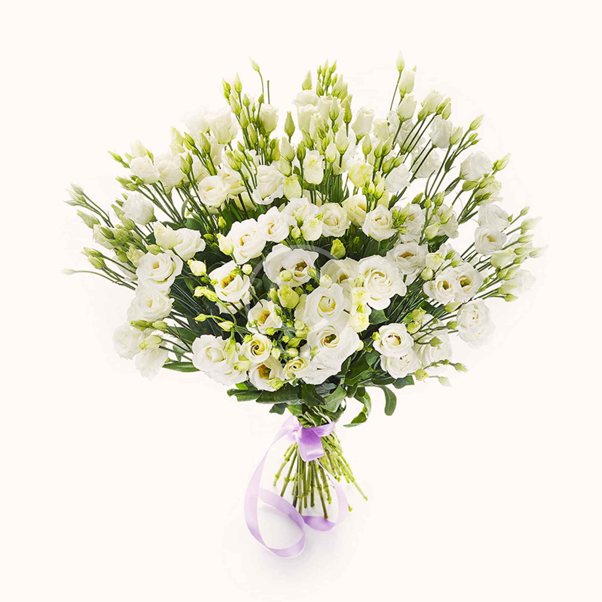 Bright Summer - Image 3